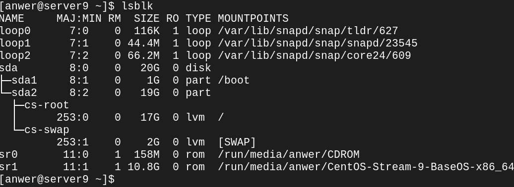 lsblk Output